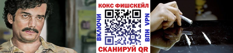 хочу   Завитинск  mega как войти  Cocaine Fish Scale 