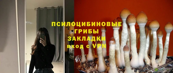 молекула духа Алзамай